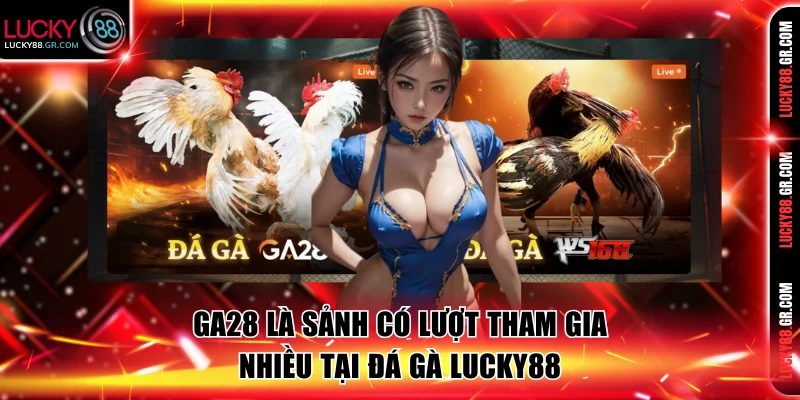 Ga28 là sảnh có lượt tham gia nhiều tại đá gà Lucky88