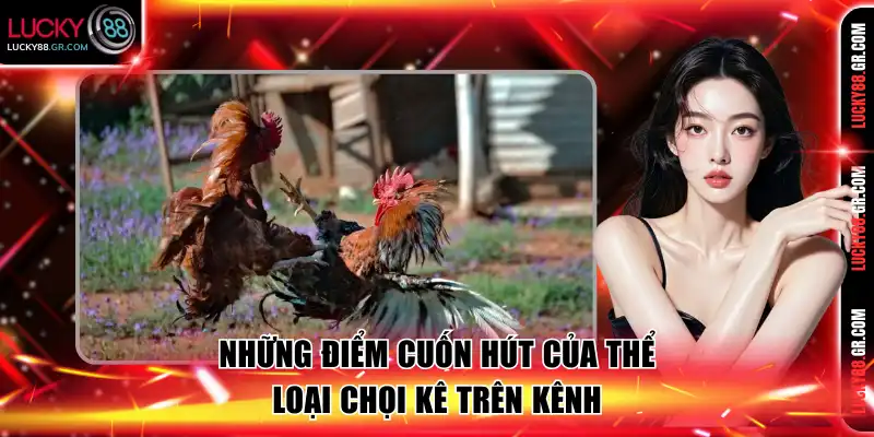Những điểm cuốn hút của thể loại chọi kê trên kênh